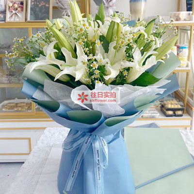 汉中8支白色多头百合洋甘菊，互倾的思念