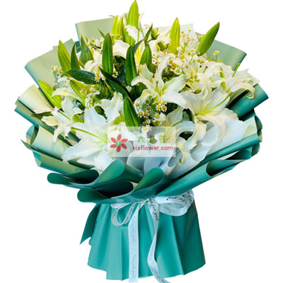 汉中8支白色多头百合洋甘菊，如潮的思念